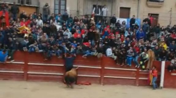 Cogida en el toro del aguardiente de Ciudad Rodrigo