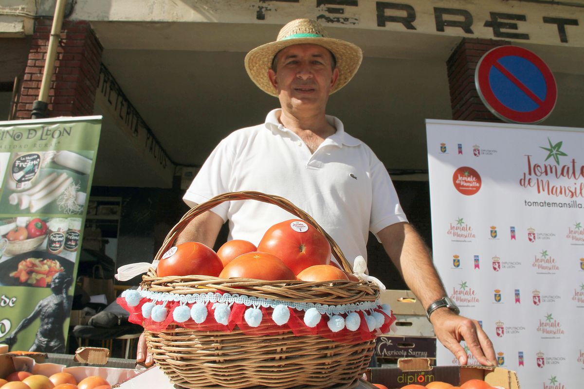 Al rico tomate de Mansilla